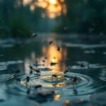 مكافحة حشرات الشاطئ بجدة شركة مكافحة حشرات الشاطئ بجدة | إبادة فورية ومضمونة لجميع الآفات والمنازل