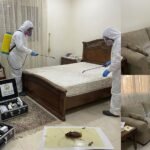 شركة مكافحة حشرات بجدة | رش آمن بدون مغادرة المنزل - الأمل