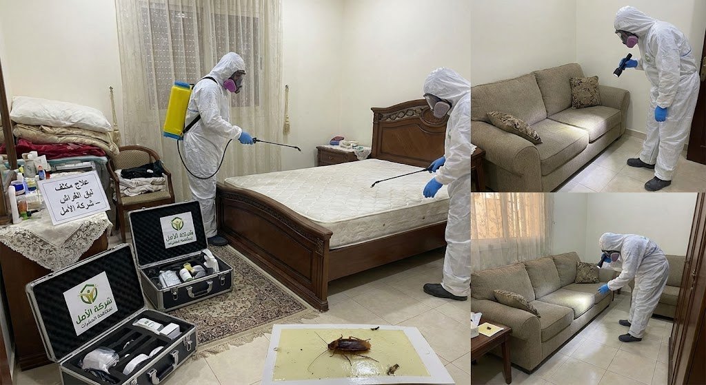 شركة مكافحة حشرات بجدة | رش آمن بدون مغادرة المنزل - الأمل